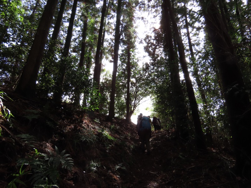 日和田山、物見山